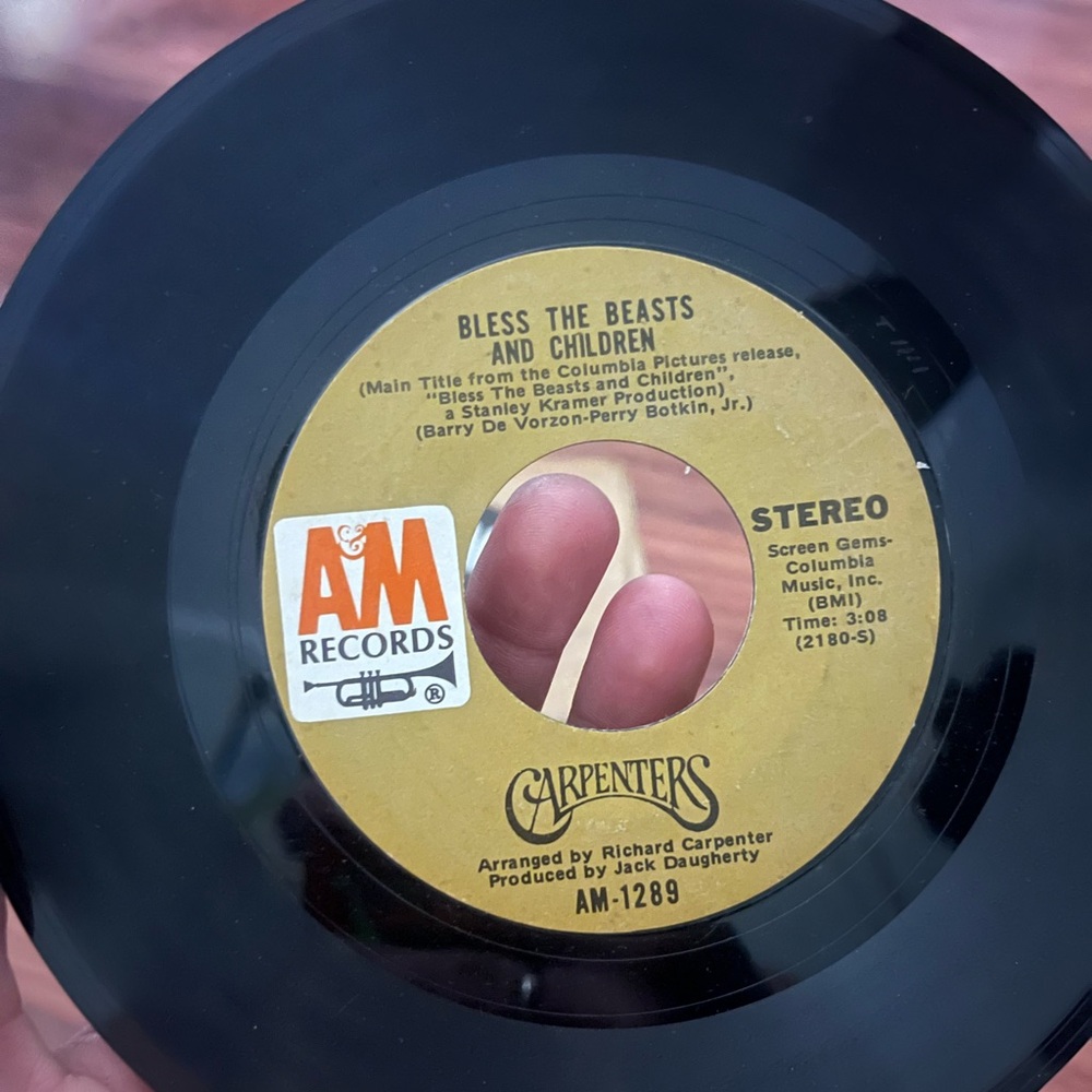 The Carpenters Vinyl Record